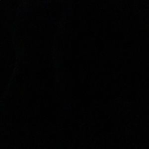 Meet your Posher, Gianna